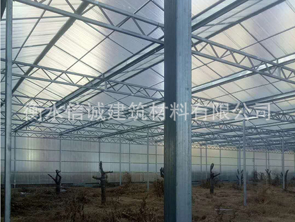 生態餐廳用陽光板